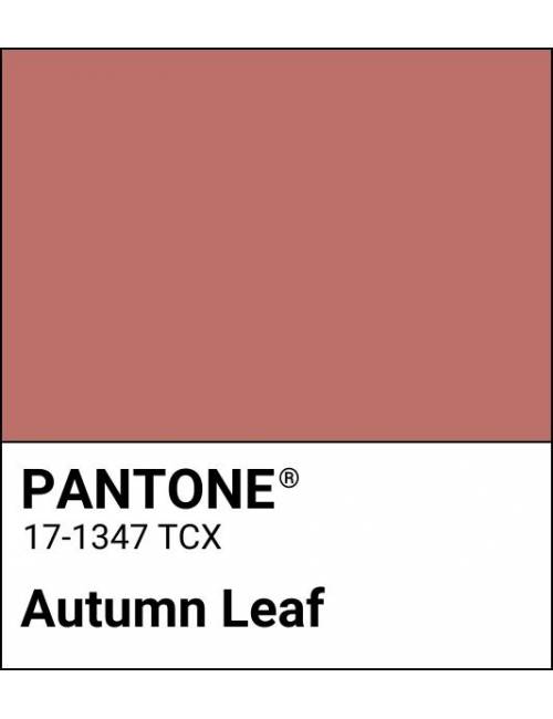 AUTUMN LEAF MAMI