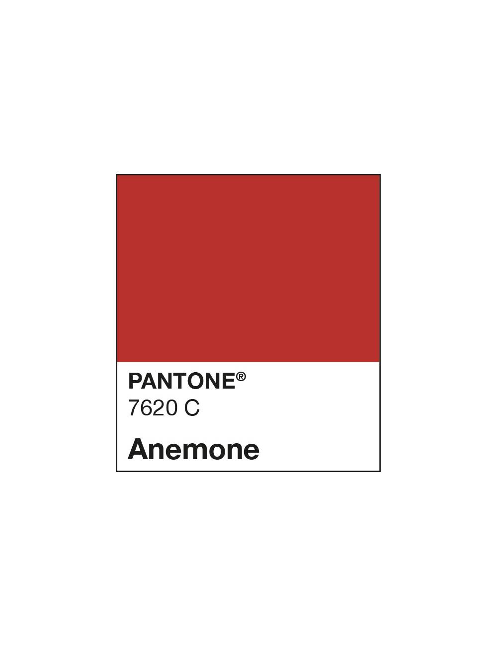 MAMI ANEMONE