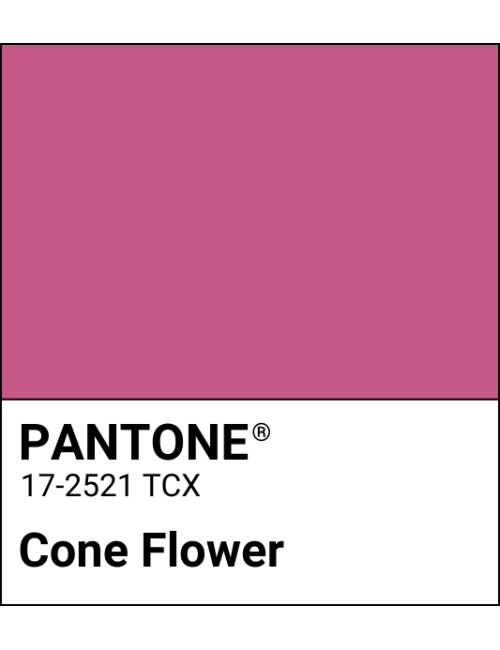 Rossetto liquido My Perfect Shade - Cone Flower