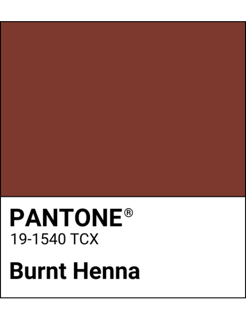 Rossetto liquido My Perfect Shade - Burnt Henna