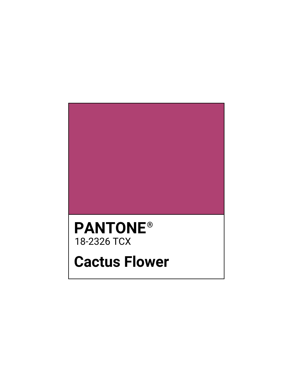 Cactus Flower