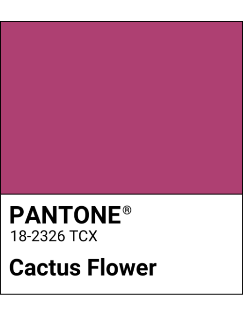 Cactus Flower