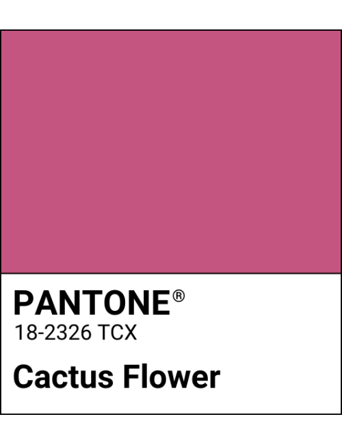 copy of Cactus Flower
