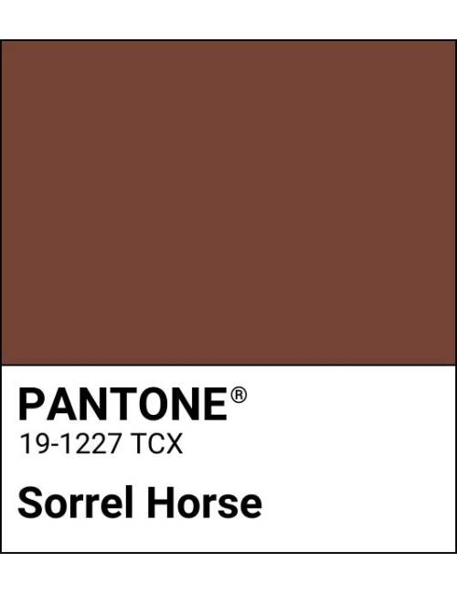 Rossetto liquido Wonderwoman Sorrel Horse