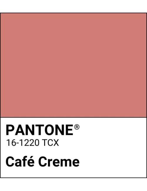 Gloss Sunlight Café Creme