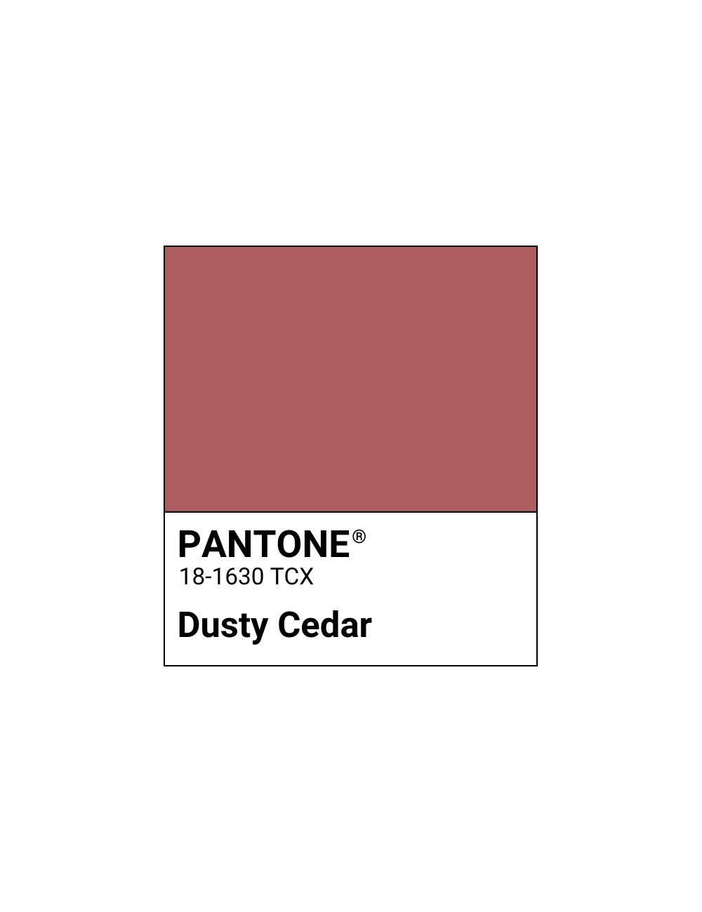 Rossetto liquido Wonderwoman Dusty Cedar
