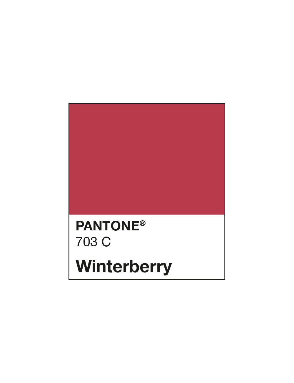 Custom Liquid Lipstick