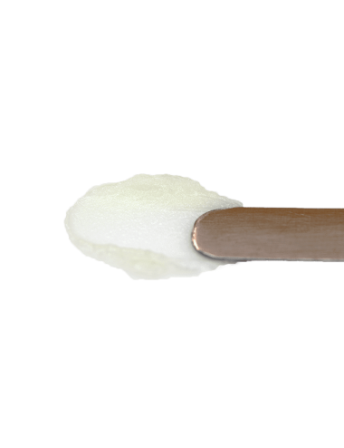 copy of copy of Campione LipScrub